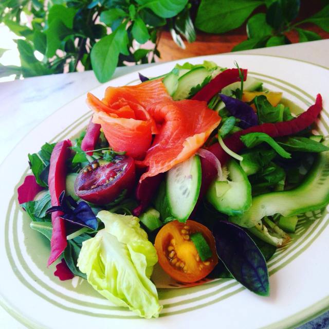 smoked trout feture 2 important