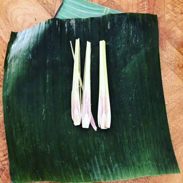 4966F779-A138-491B-82DC-F90009BA9840