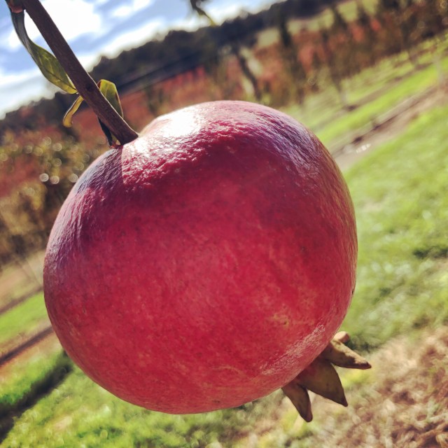 3C5DF519-FB77-4851-803B-2731D581DB81