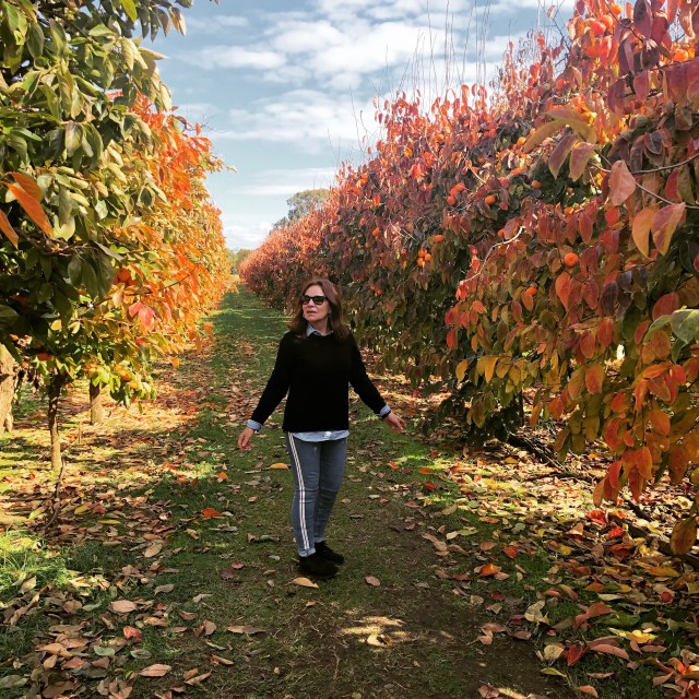 A37AD4BB-C4D4-4D79-BAFF-BAF5EA366205