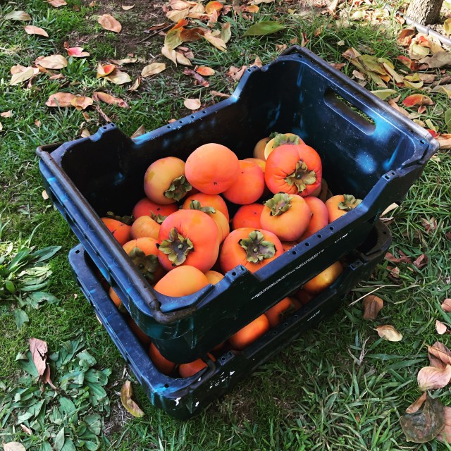 B3AF6AB9-36FA-4194-92FC-D3074BDB01C5