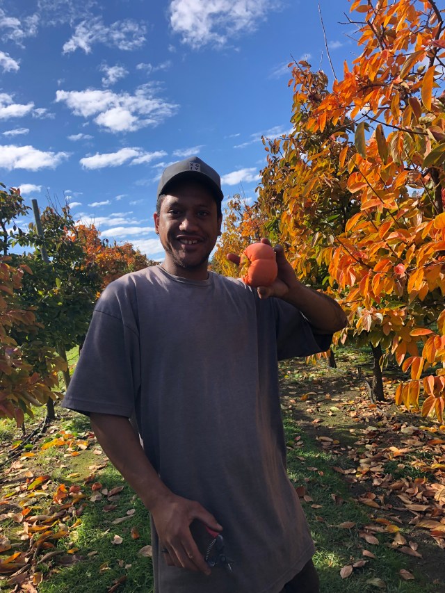 F5848CC5-2F52-4D78-9F67-8D99B467B886