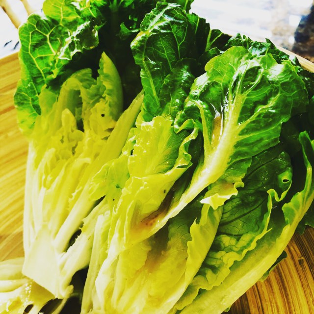 5EC5EFE8-8F94-4ACB-9E51-0CDA7316CF26